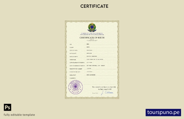 listo para imprimir la plantilla PSD del certificado de nacimiento del registro 